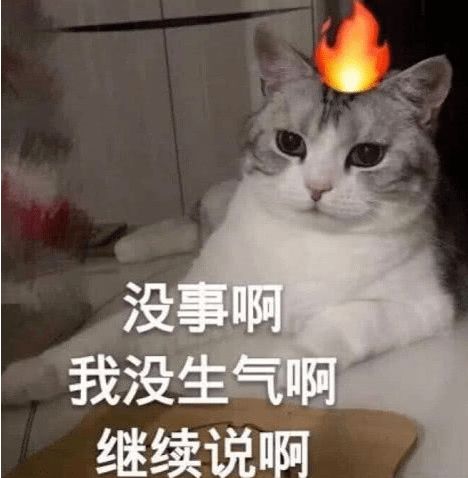  青岛,周一,大雨1小时挪了100米路边大树把车砸到没脾气而我,在想一个万年都解不开的谜预报