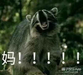  如果你妈微信经常不理你,就轮到这些表情包出场了