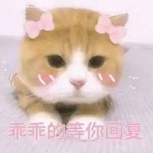 数学题一般要画图吗 数学题一般要画图吗