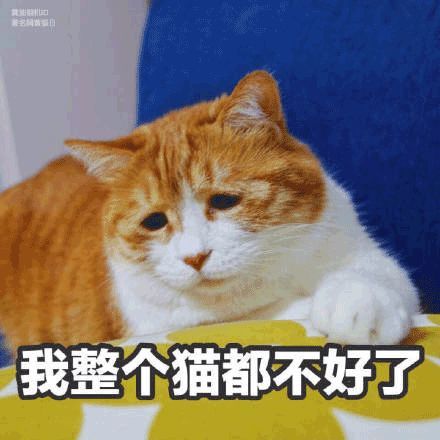  为什么经常脸部浮肿,是跟你的这个习惯有关