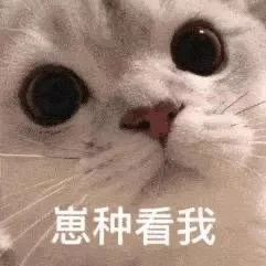  热门表情包图片嘴是用来亲的,不是吵架的