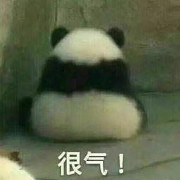 你与鲁迅之间只差一本秘籍 你与鲁迅之间只差一本秘籍