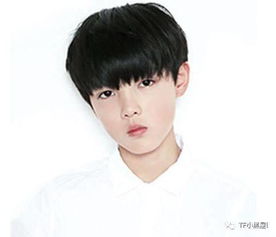  tf家族要推出新的组合,三小只的哪些师弟即将出道