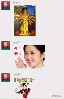 炮炮兵动态表情包微信老爷子
