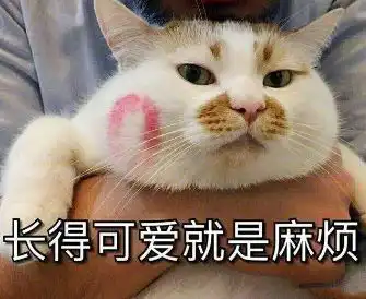 过完腊八就是年,今年我要扳回一局 过完腊八就是年,今年我要扳回一局