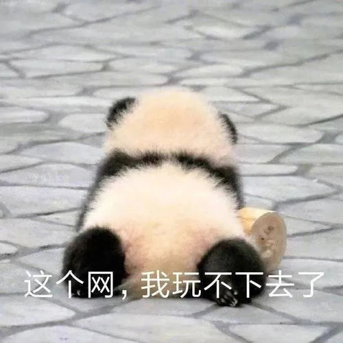 摆烂表情包熊猫头吉市