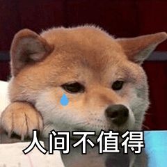  养了11年的爱犬被别人家的狗咬死翔安法院这样判