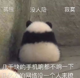  10月6日,我对不起我自己