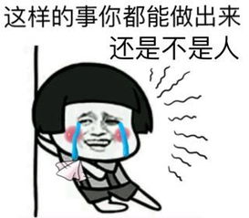  斗图表情包大集合,金馆长张学友恶搞表情包
