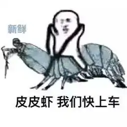 大巴黎主场即将沦陷,冲超布赖顿志在3分 大巴黎主场即将沦陷,冲超布赖顿志在3分