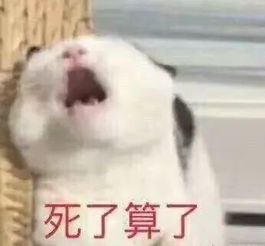  分享最近很火的情侣套路,专业坑男朋友100年