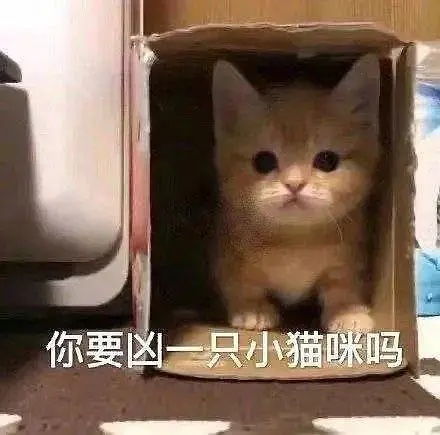  娇妻与驴颅内长屌