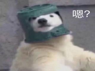  中国有嘻哈之娱乐天王