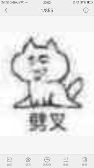  这个表情包是什么系列的