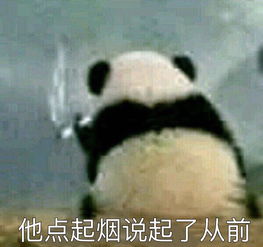  2018收费站文明服务培训