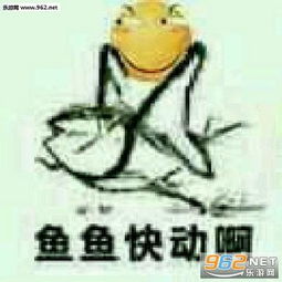 鱼鱼快动啊梗表情图片鱼鱼快动啊表情包无水印版下载乐游网游戏下载