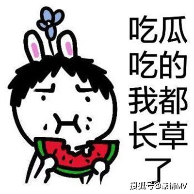  夏天吃瓜人必备的表情2021吃西瓜的可爱表情包大全