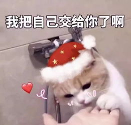  周末我还能干什么圣诞快乐小红帽表情包