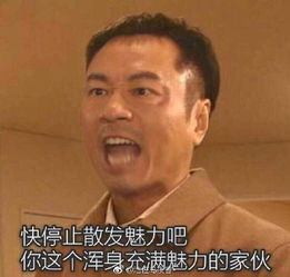 追风少年刘全有表情包有