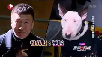 混吃等死之综艺篇 混吃等死之综艺篇