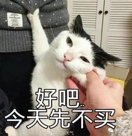  31.2,短袖又穿上厦门今天继续飙高温不过千万要注意...
