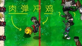  简笔画版蔡徐坤打篮球鸡你太美坤坤
