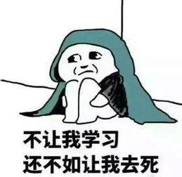  大一大二大三大四学生分别是怎么考会从的