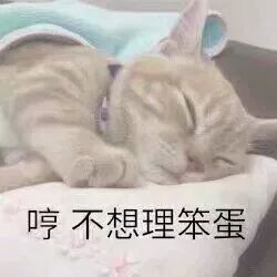 表情包你不能看我可爱就欺负我