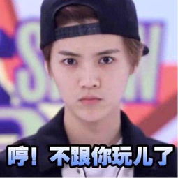  表情界的华坛论剑,韩红周杰鹿晗谁表情包更胜一筹