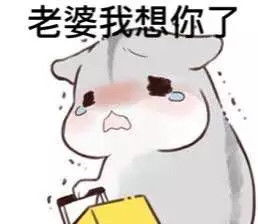  求仓鼠哄老婆表情包,及这张小仓鼠表情原图