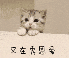 文章笑的表情包gif小分