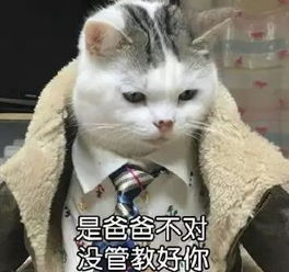  你如何看待顺德男子打死金毛,打伤金毛主人事件