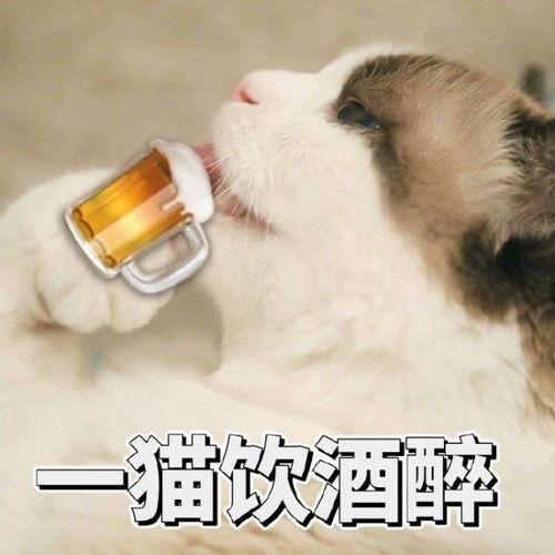  初代网红表情包相继离世愿小天使们一路走好