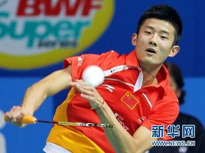 中国羽球公开赛谌龙夺男单冠军 中国羽球公开赛谌龙夺男单冠军
