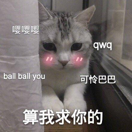 猫无聊表情包图片