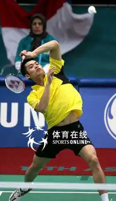 组图羽毛球男团半决赛林丹胜陶菲克3 组图羽毛球男团半决赛林丹胜陶菲克3