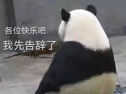  表情包神器抖音表情包熊猫道歉0702期