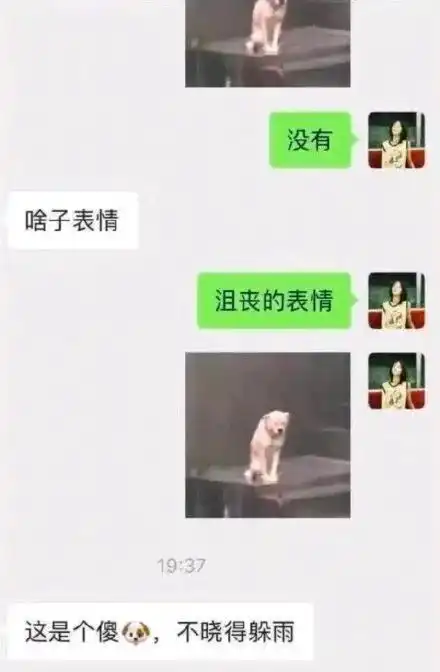 手滑在家族群发了ghs的表情包救命人没了 手滑在家族群发了ghs的表情包救命人没了