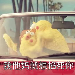  出来聊天,介绍男朋友给你,网友其实我也不想无理取闹