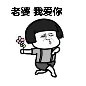  老婆我爱你表情包合集