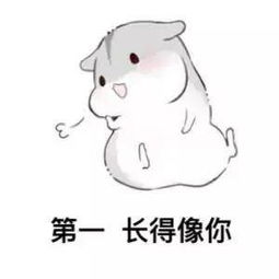  小仓鼠撩妹表情包你知道我择偶的标准吗