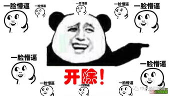  是我开除了鸽会还是鸽会开除了我
