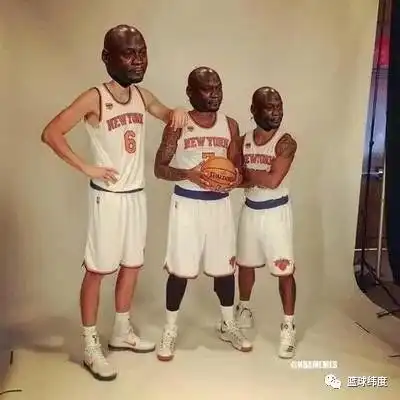 nba表情包尼克杨销毁