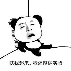  这就是我的研究生生活