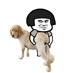 搞笑段子太好了趁他们都不在,我俩聊一会吧我是她老公 搞笑段子太好了趁他们都不在,我俩聊一会吧我是她老公