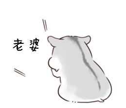  小仓鼠表情包说了多少次老婆要听话