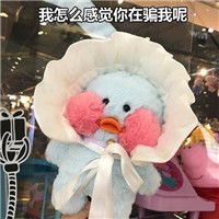  小仙女版玻尿酸小黄鸭表情可爱玻尿酸小黄鸭表情带字