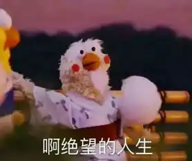 兰兰无话可说表情包绝地