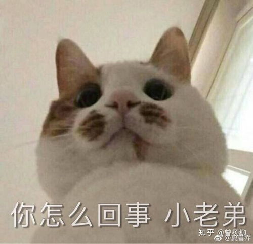  女生对化妆男生的看法