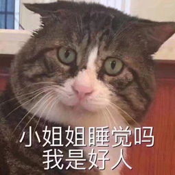  撩....撩对象表情包